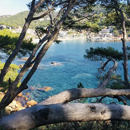 アパート Costa Brava E-4 カレリャ・デ・パラフルジェリ