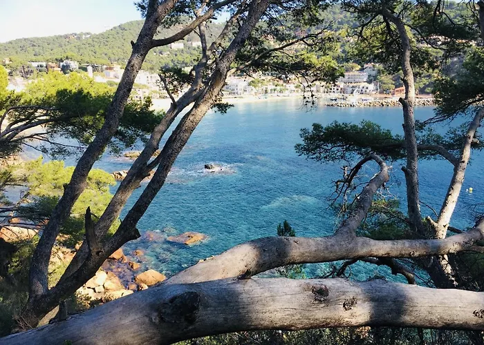 Appartement Costa Brava E-4 Calella De Palafrugell